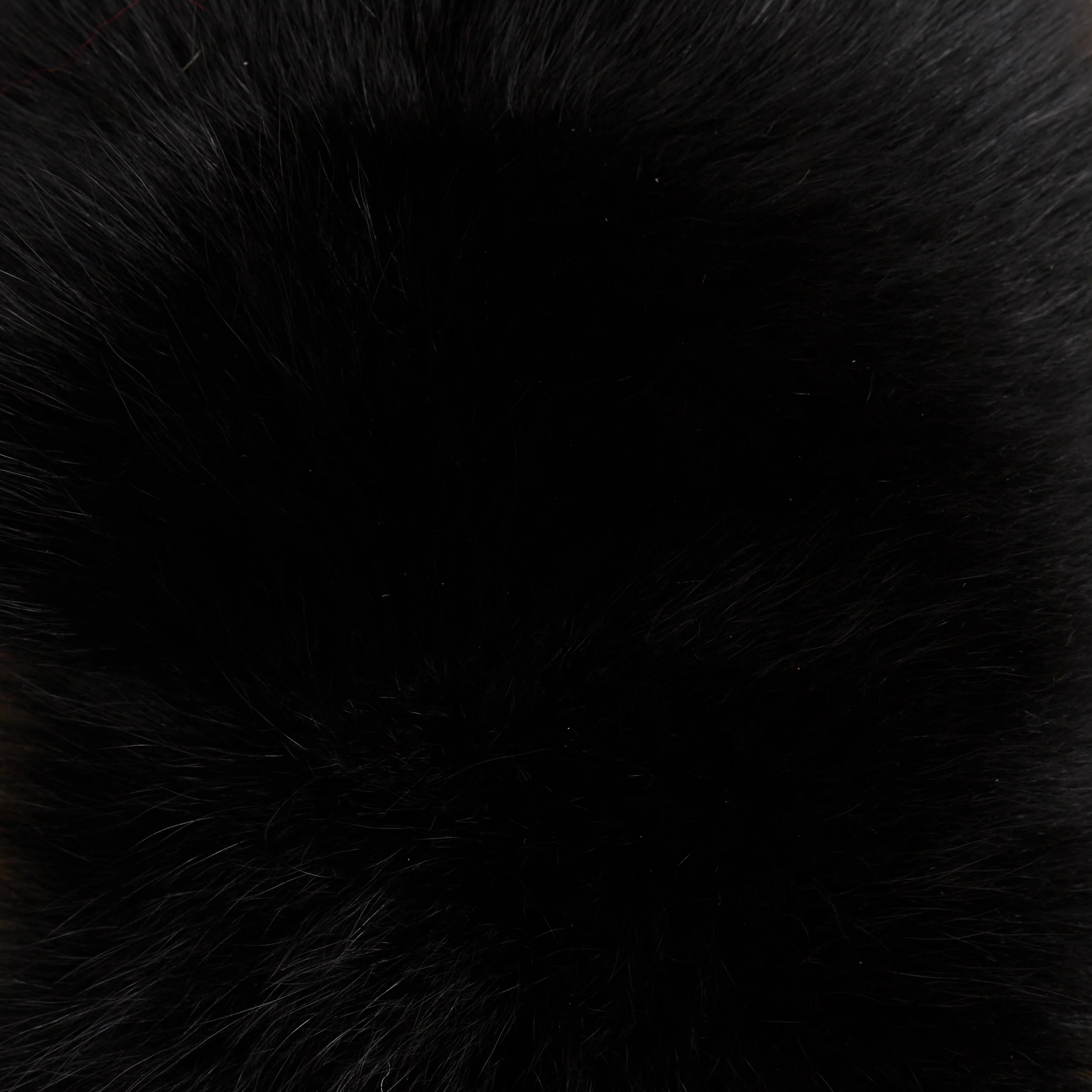 Thumbnail 14